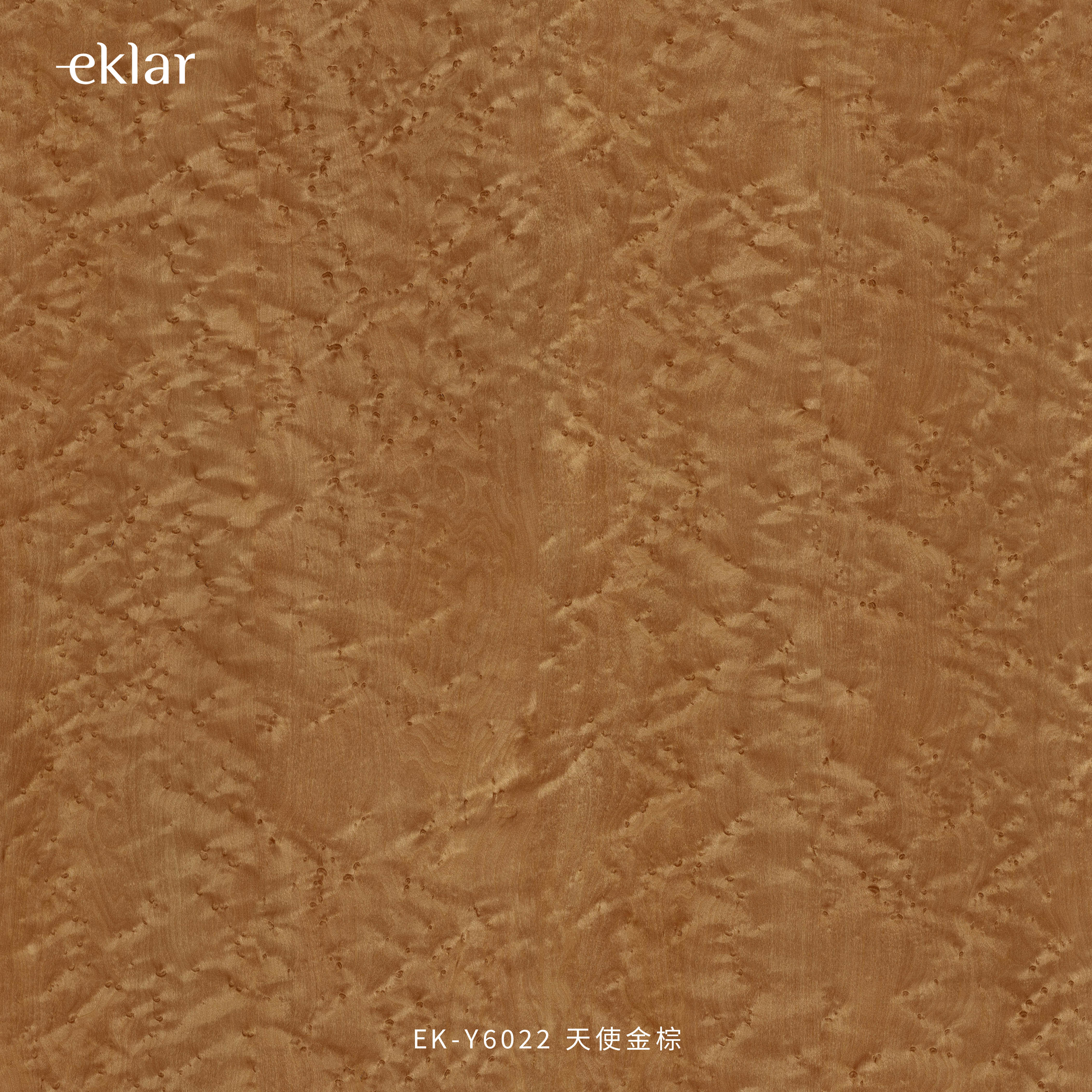 EK-Y6022 天使金棕