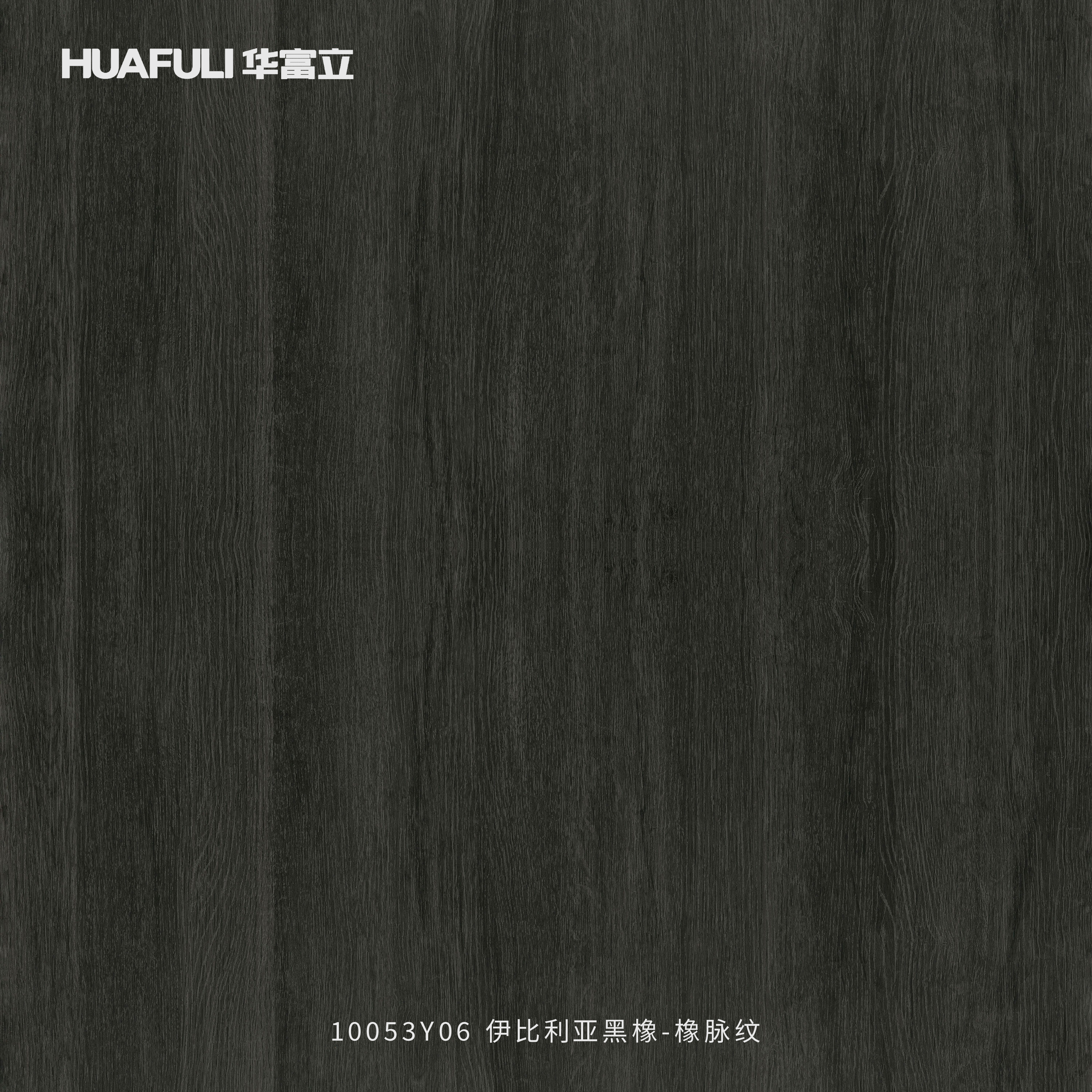 10053Y06 伊比利亚黑橡-橡脉纹