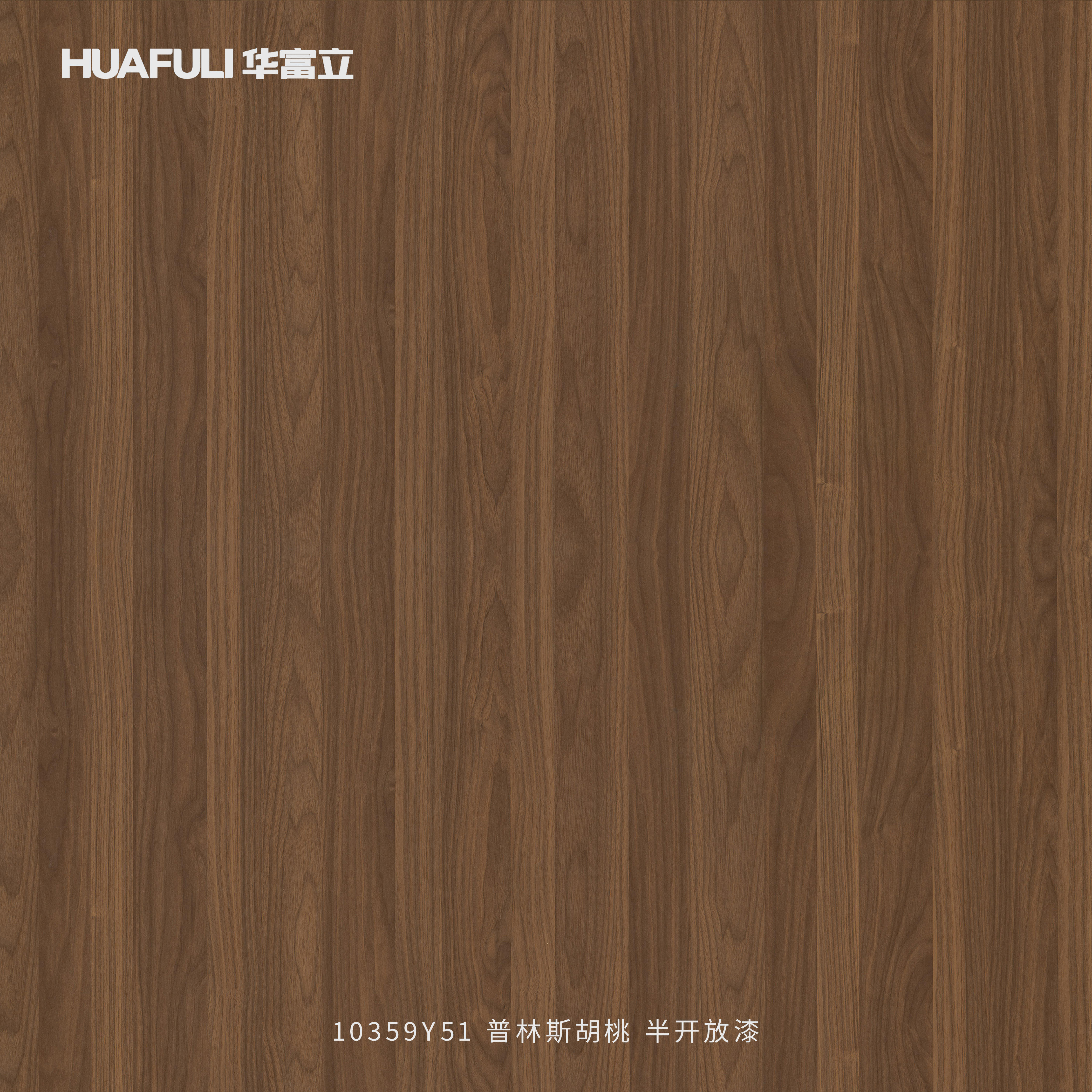 10359Y51 普林斯胡桃-半开放漆