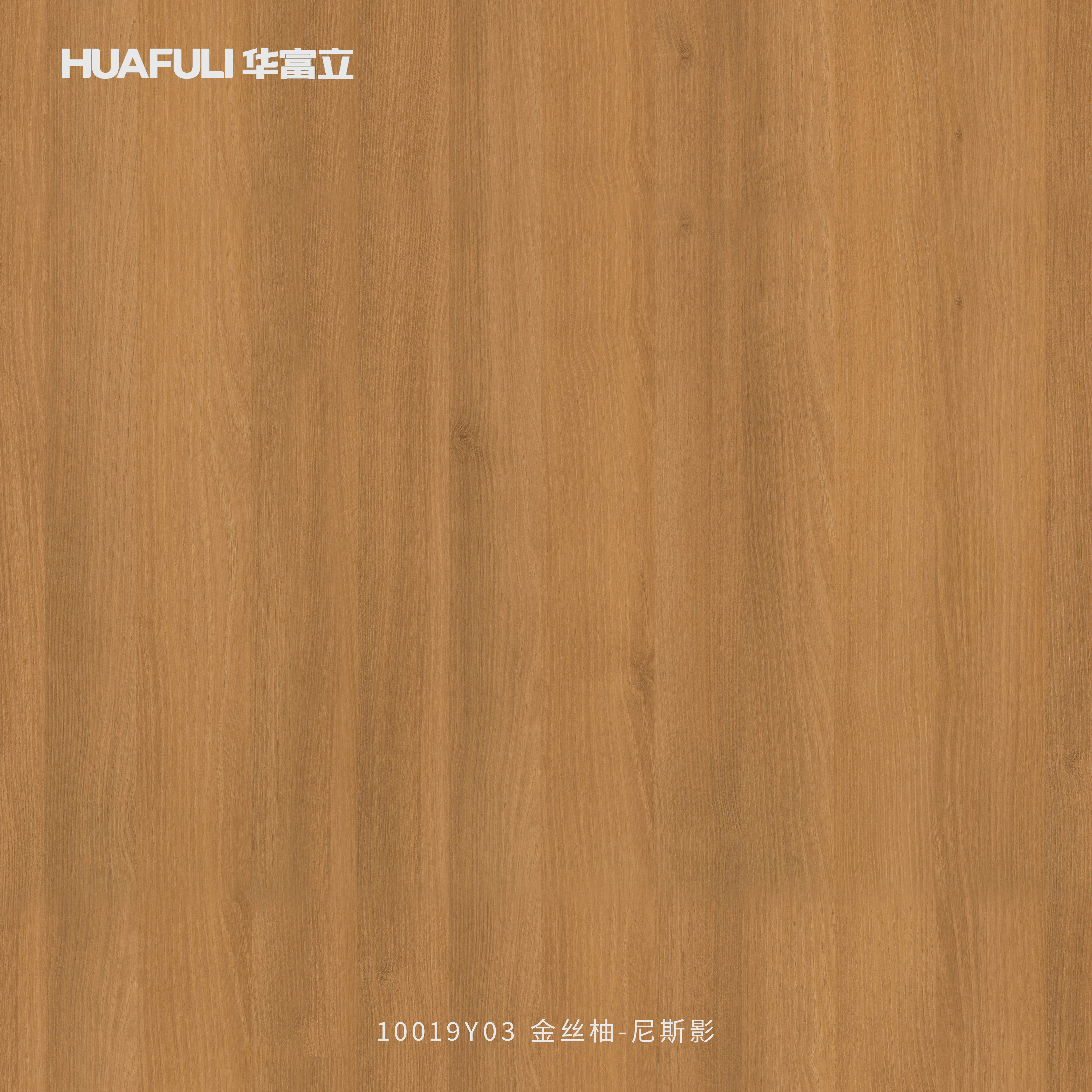 10019Y03 金丝柚-尼斯影