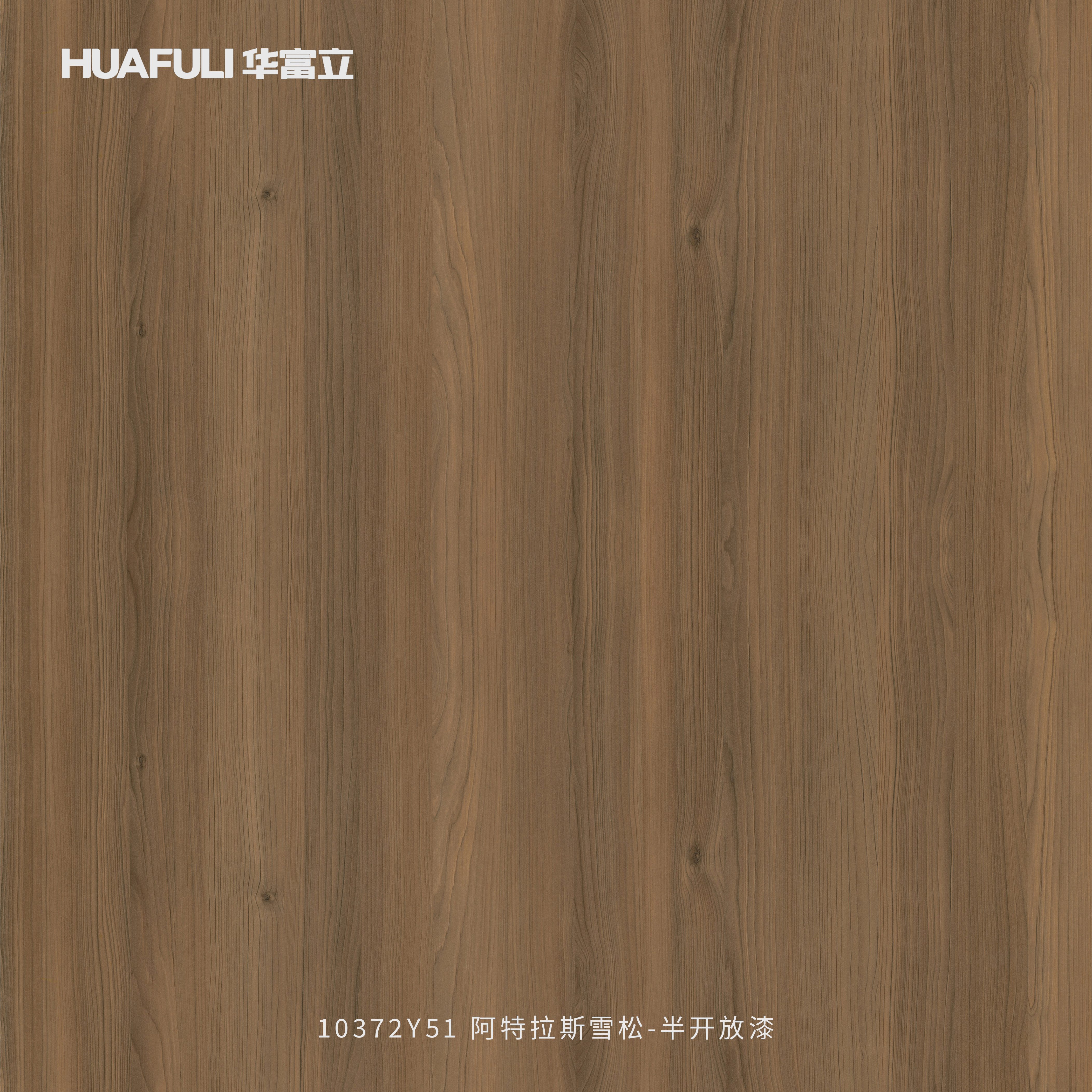 10372Y51 阿特拉斯雪松-半开放漆