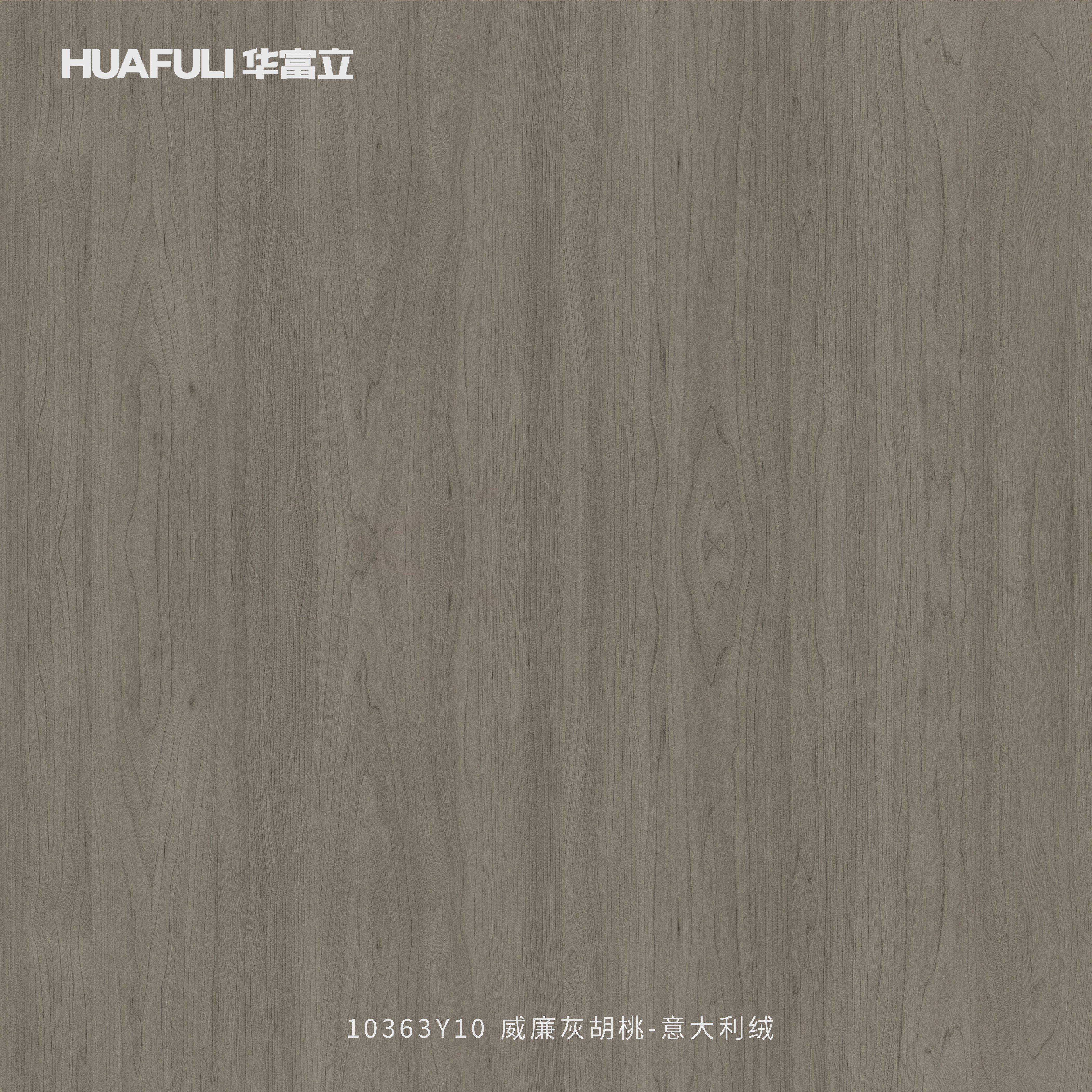 10363Y10 威廉灰胡桃-意大利绒
