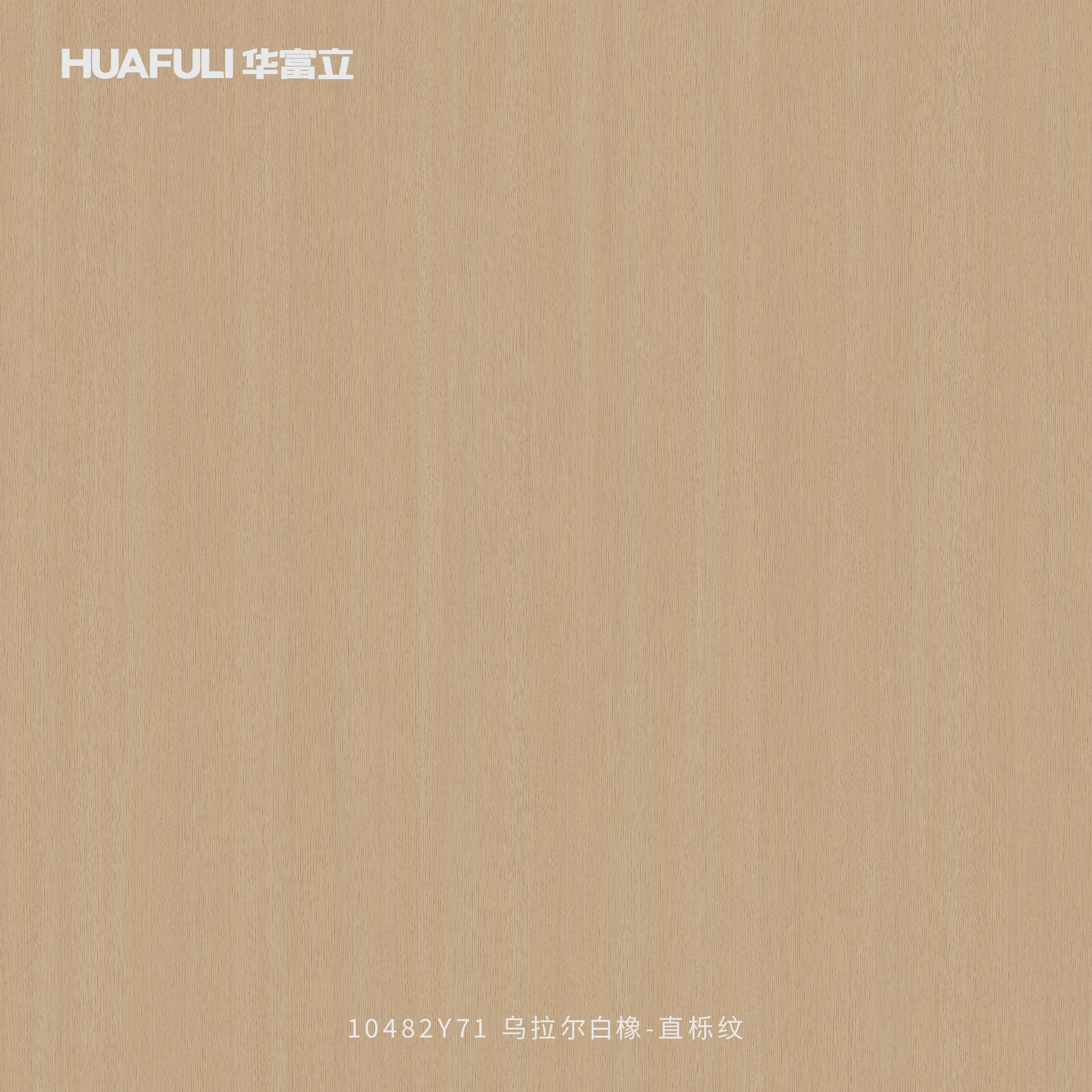 10482Y71 乌拉尔白橡-直栎纹