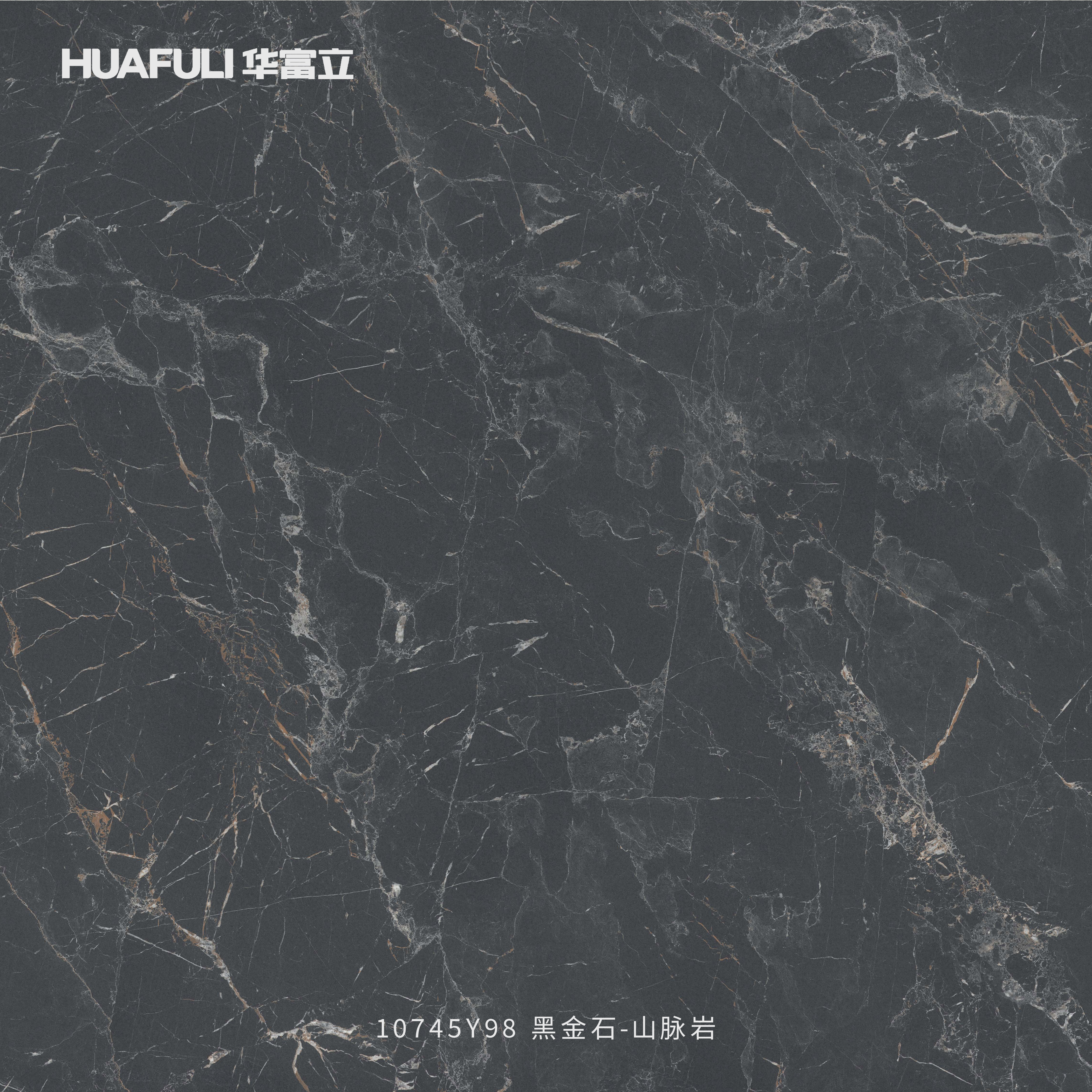 10745Y98 黑金石-山脉岩