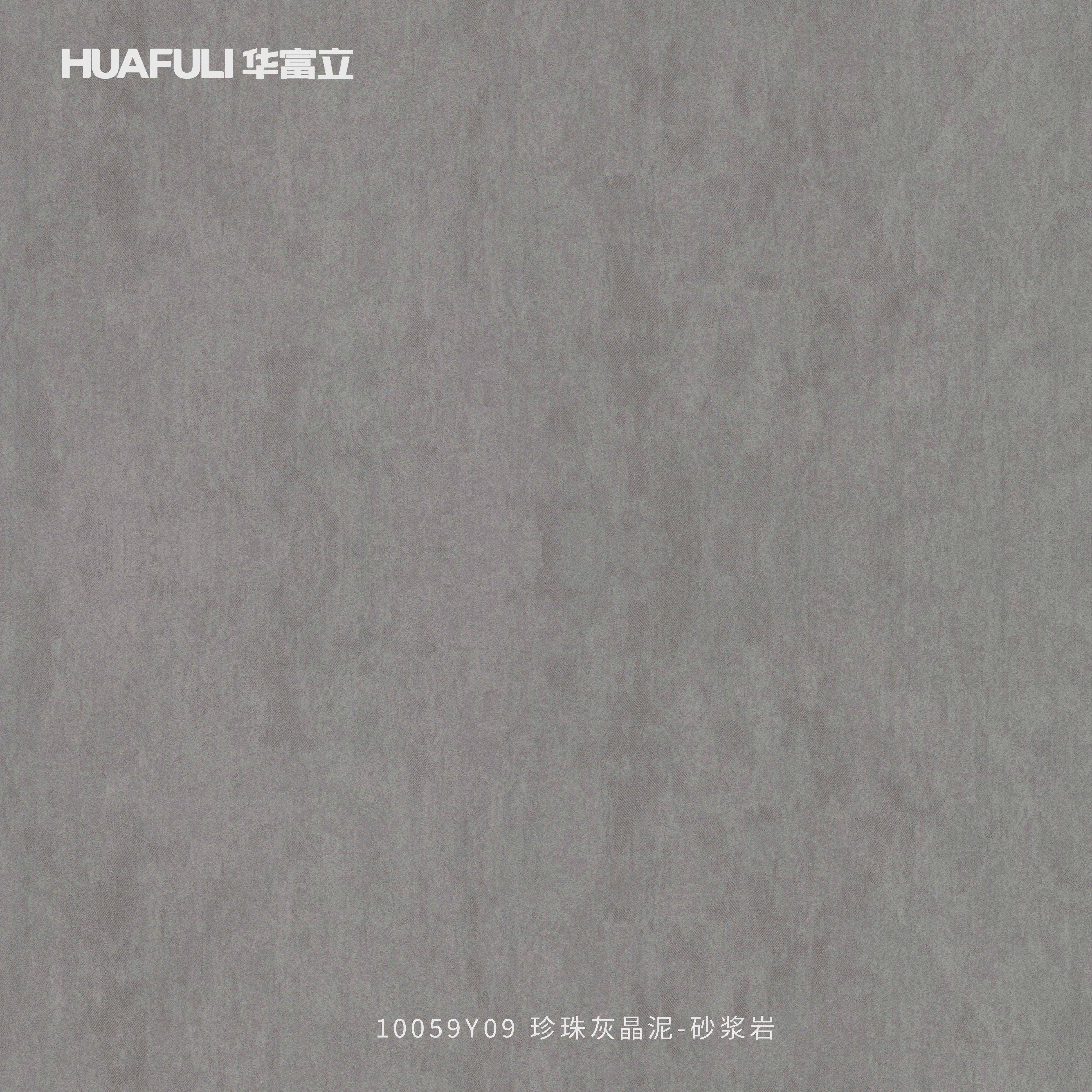 10059Y09 珍珠灰晶泥-砂浆岩