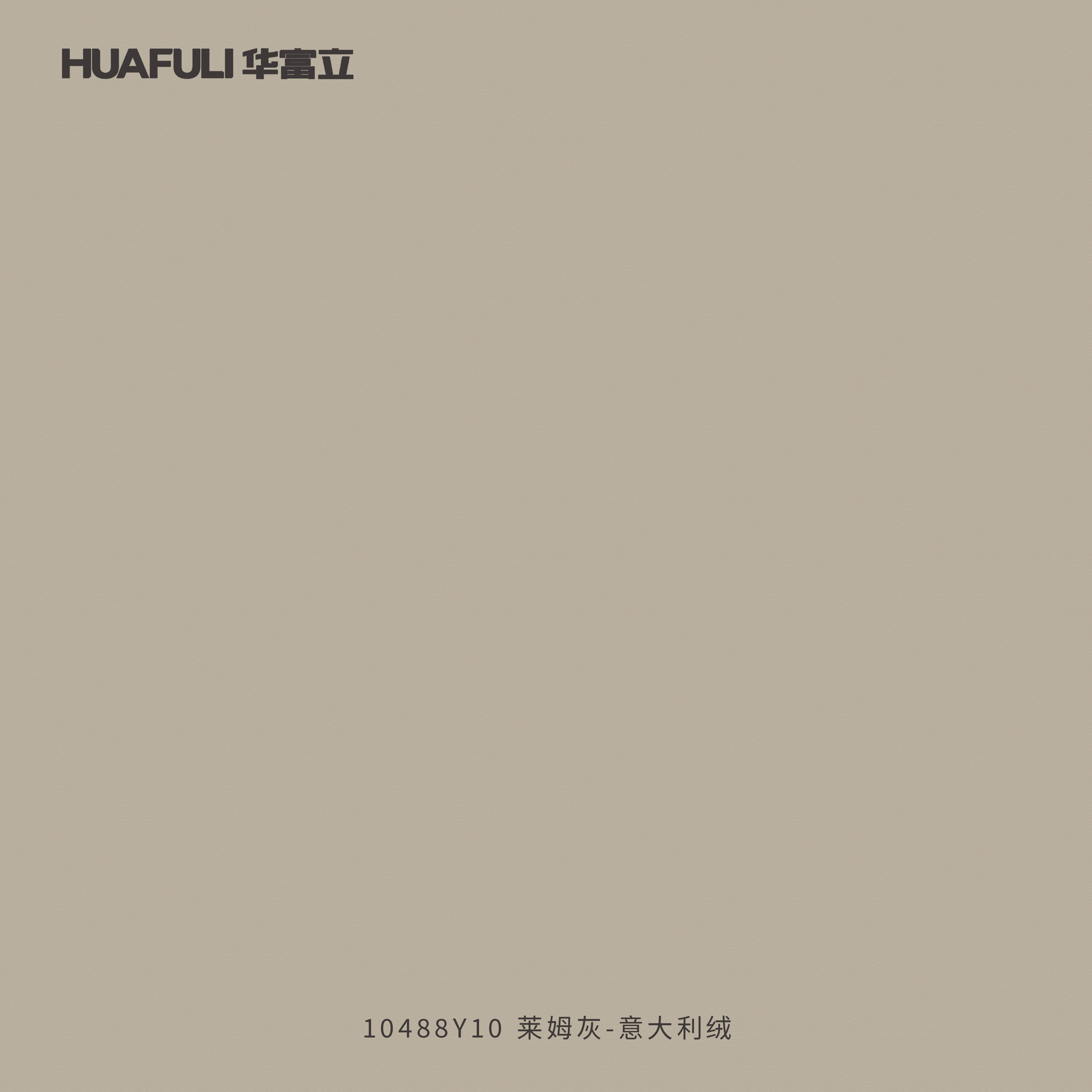 10488Y10 莱姆灰-意大利绒