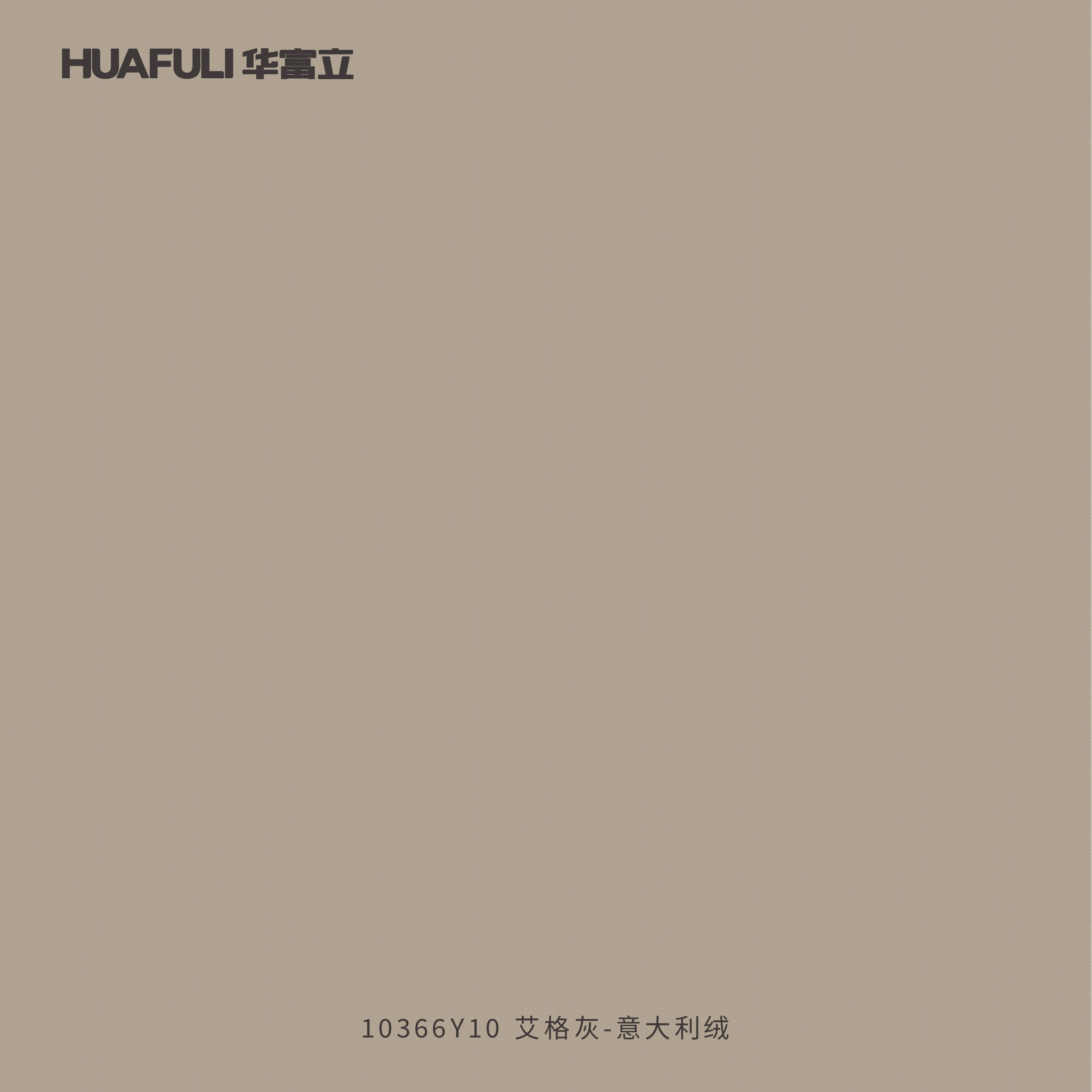 10366Y10 艾格灰-意大利绒