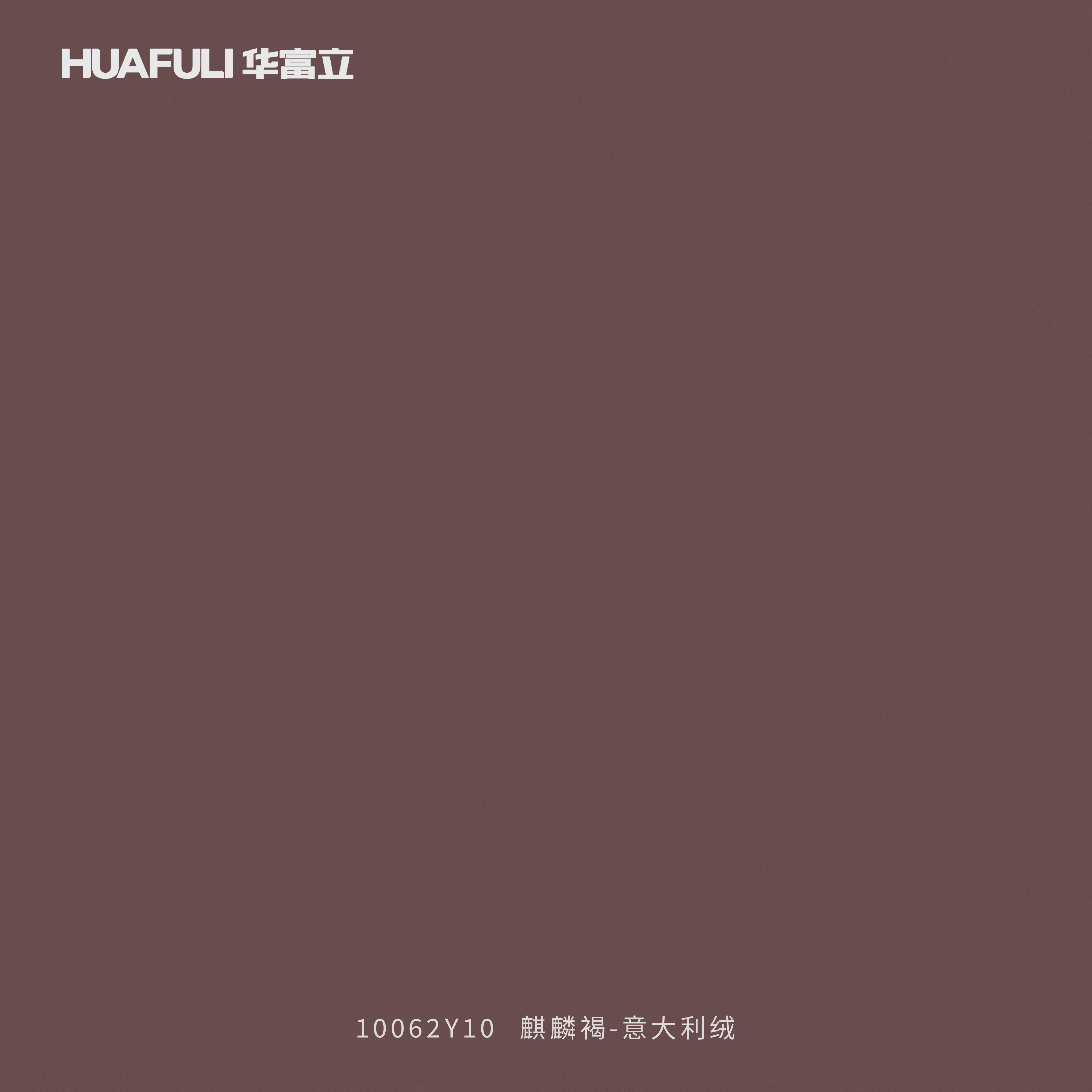 10062Y10 麒麟褐-意大利绒