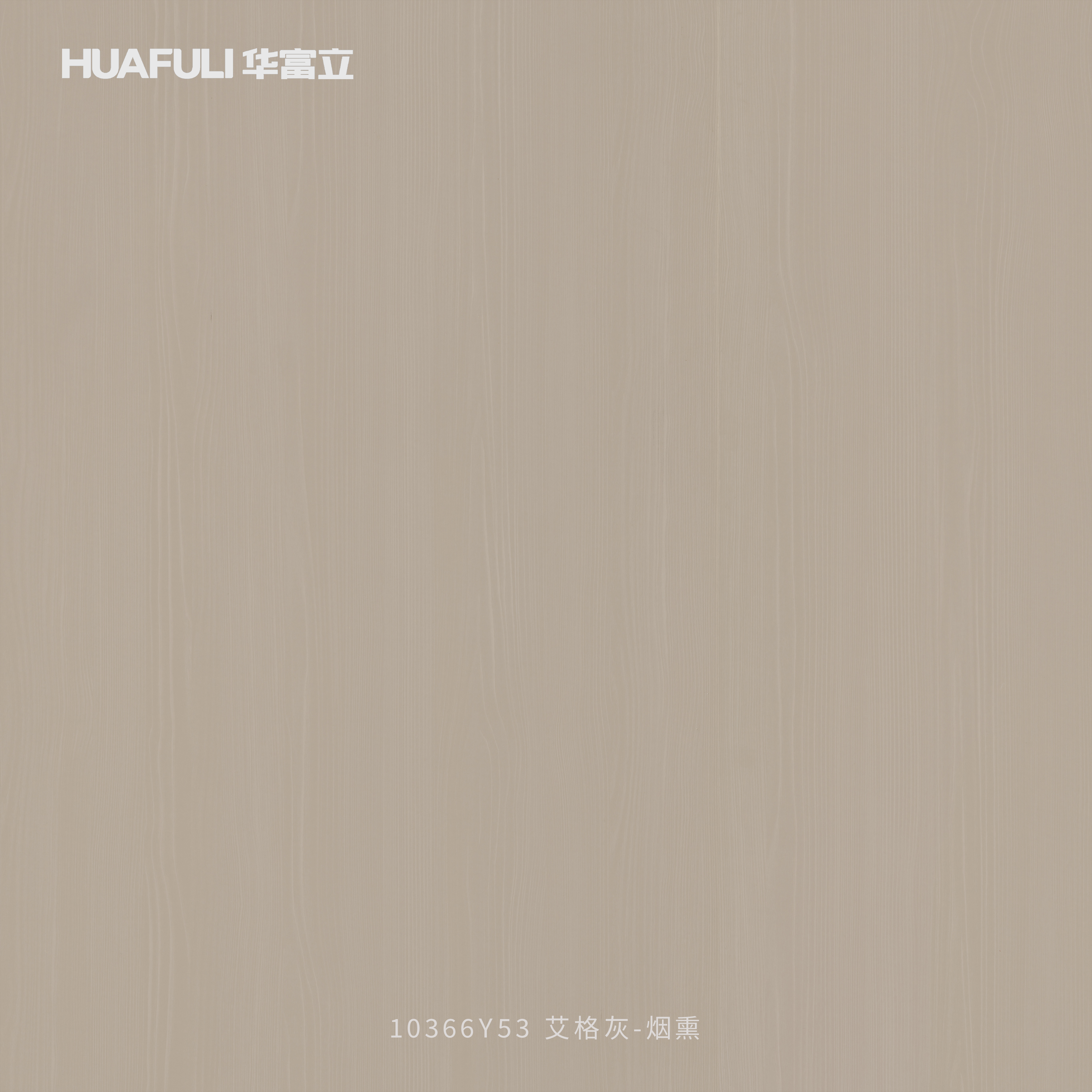 10366Y53 艾格灰-烟熏