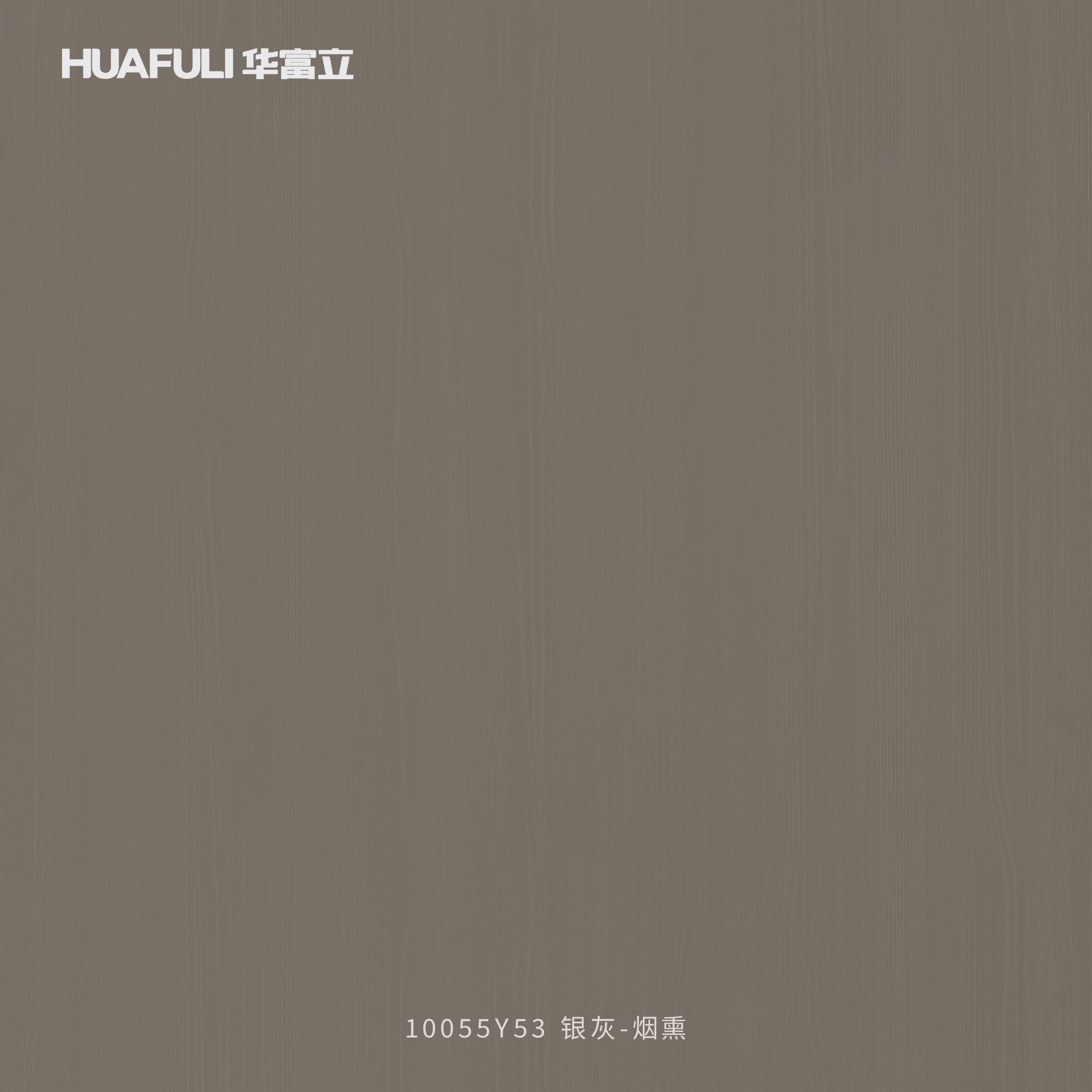 10055Y53 银灰-烟熏
