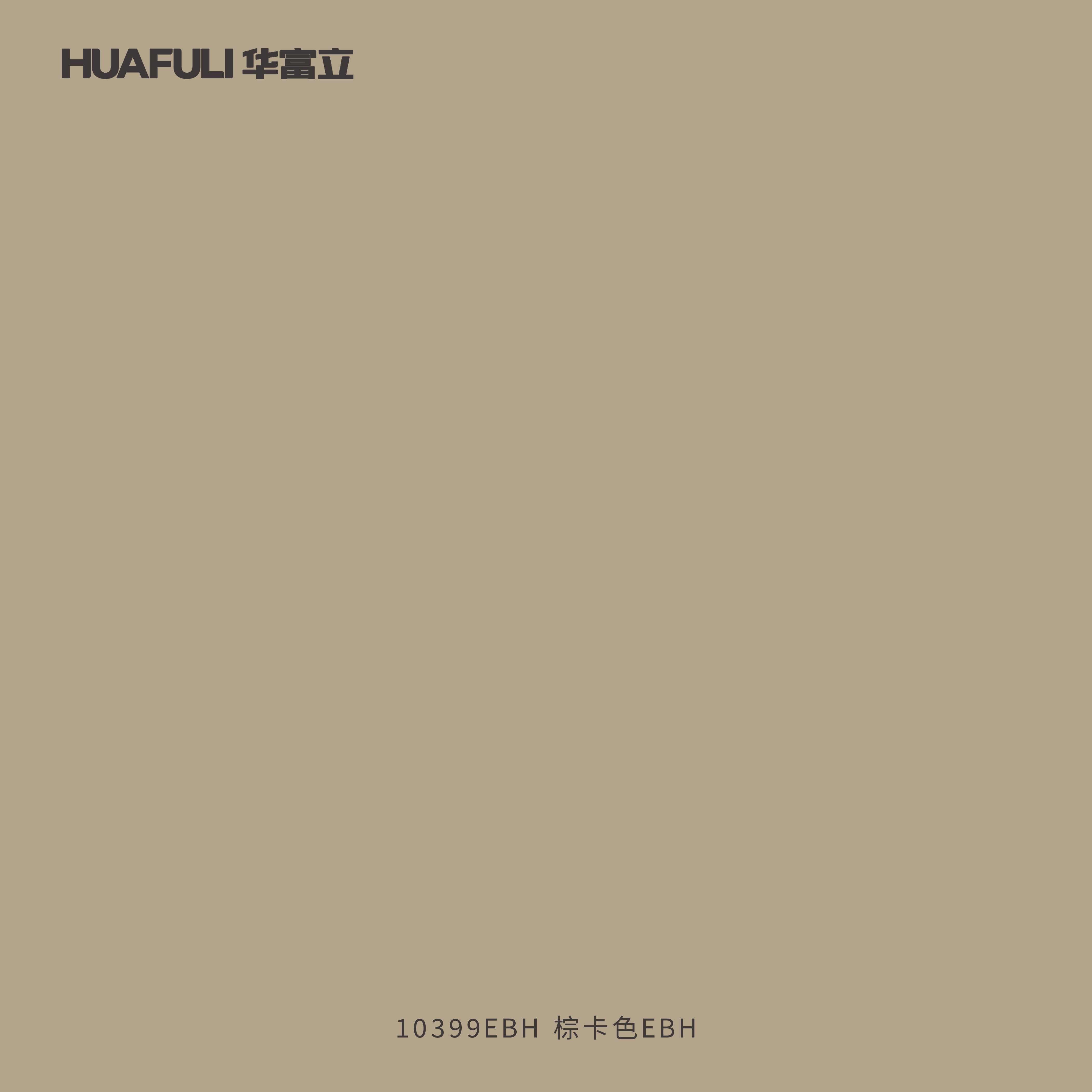 10399EBH 棕卡色EBH