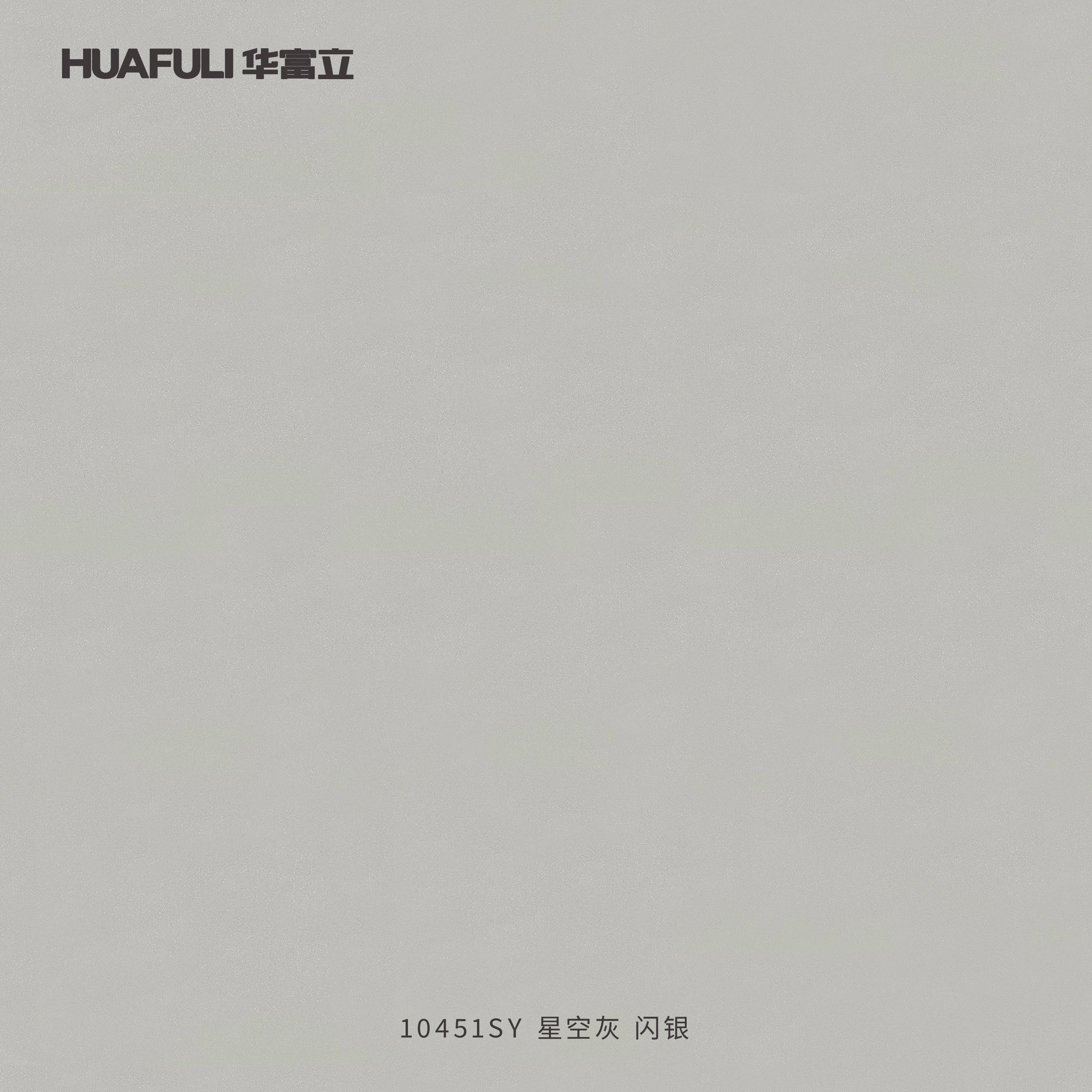 10451SY 星空灰闪银