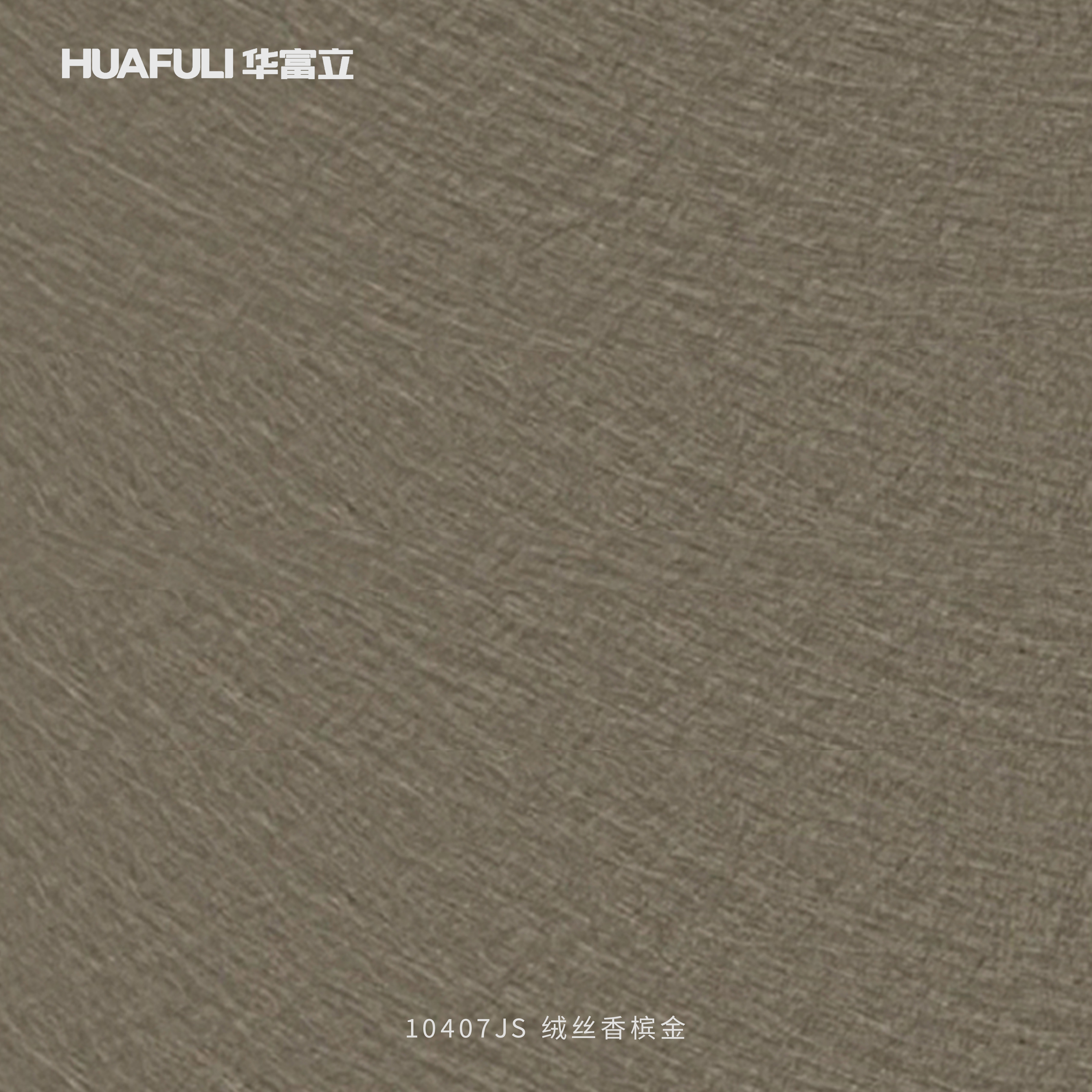 10407JS 绒丝香槟金