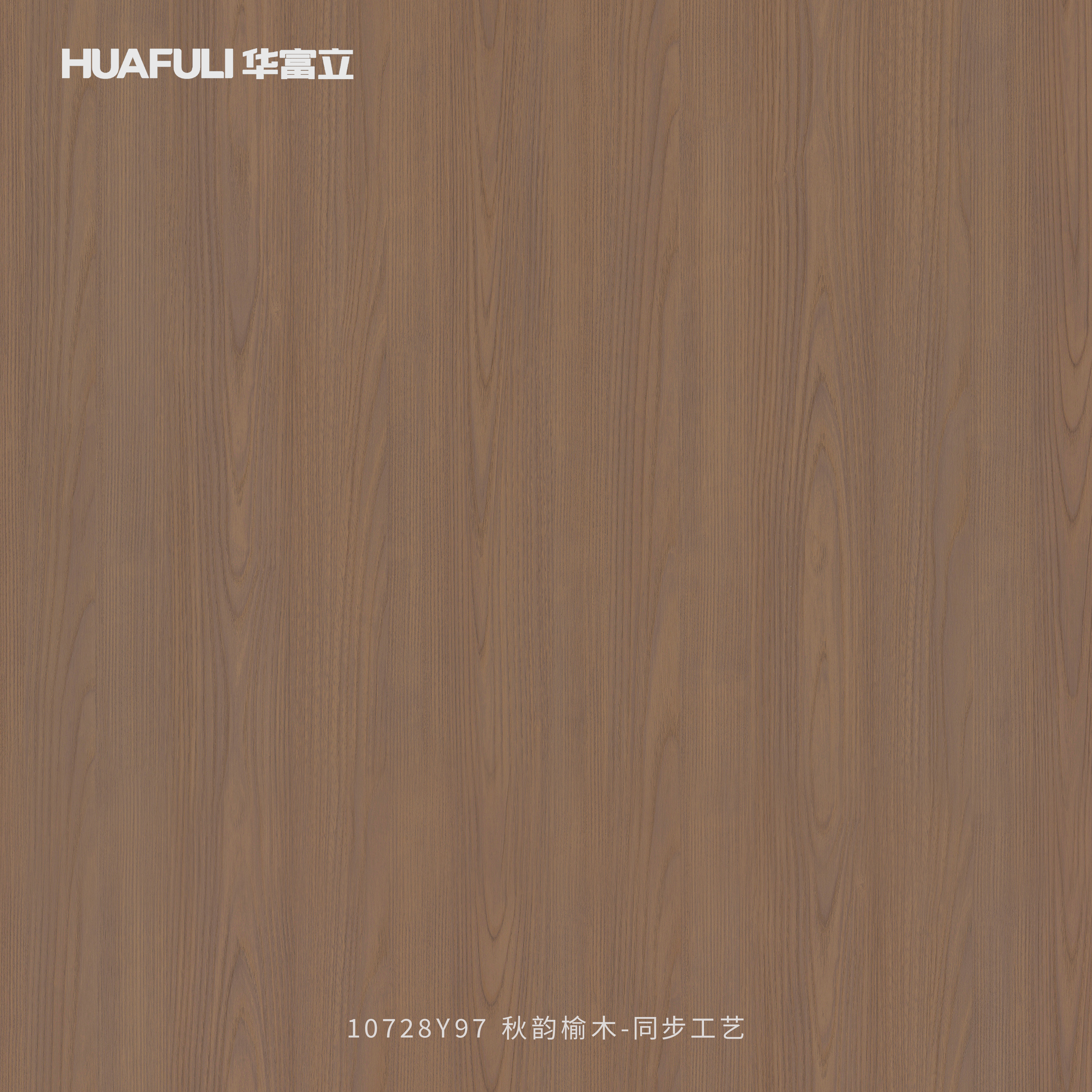A10728Y97 秋韵榆木-同步工艺